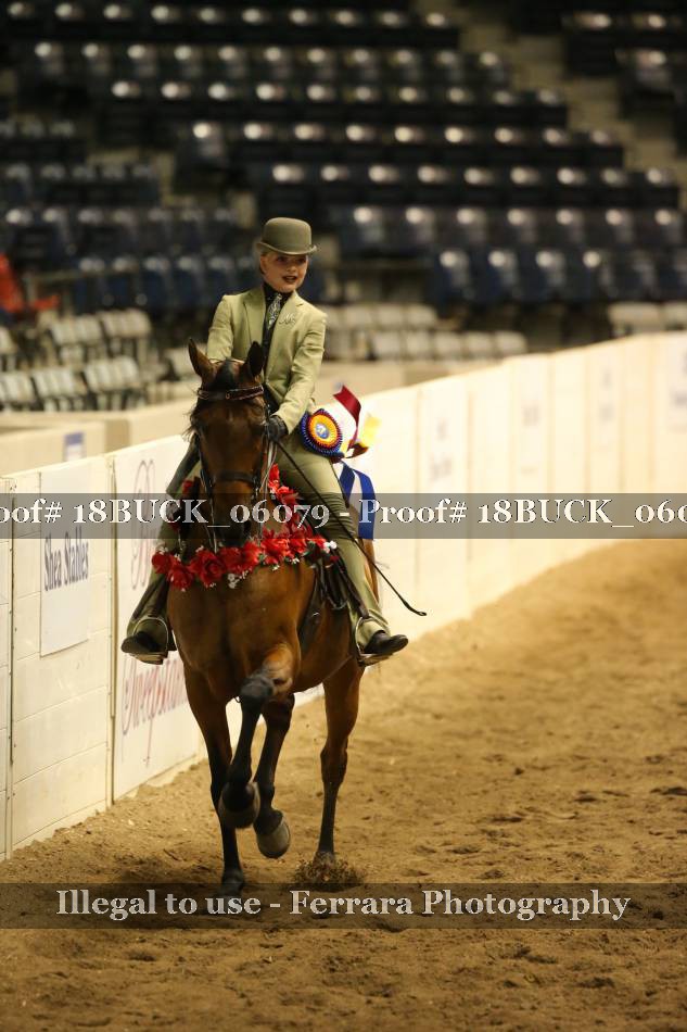 Proof 18BUCK_06079