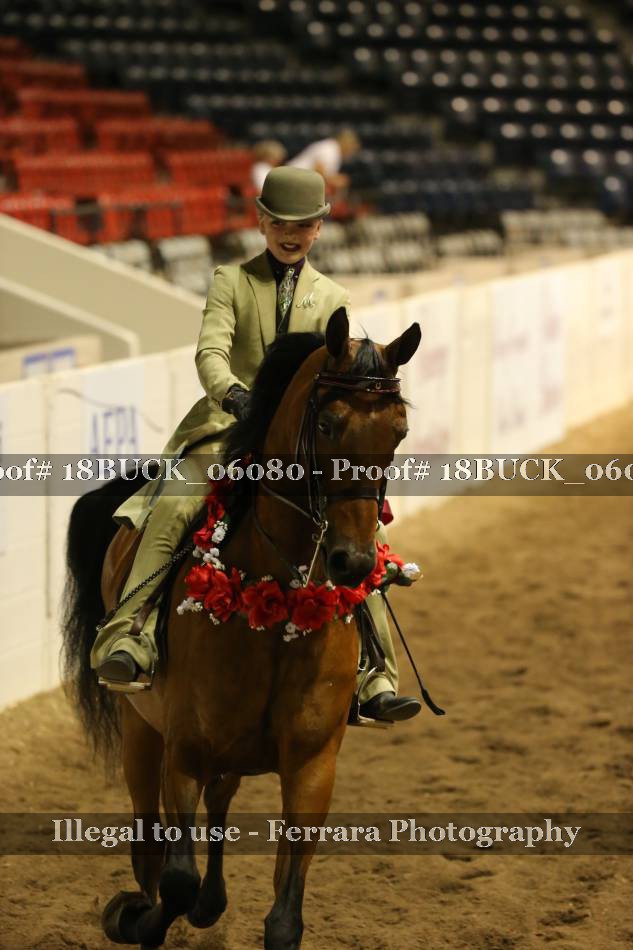 Proof 18BUCK_06080