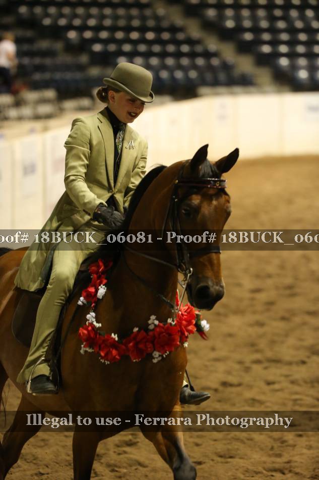 Proof 18BUCK_06081