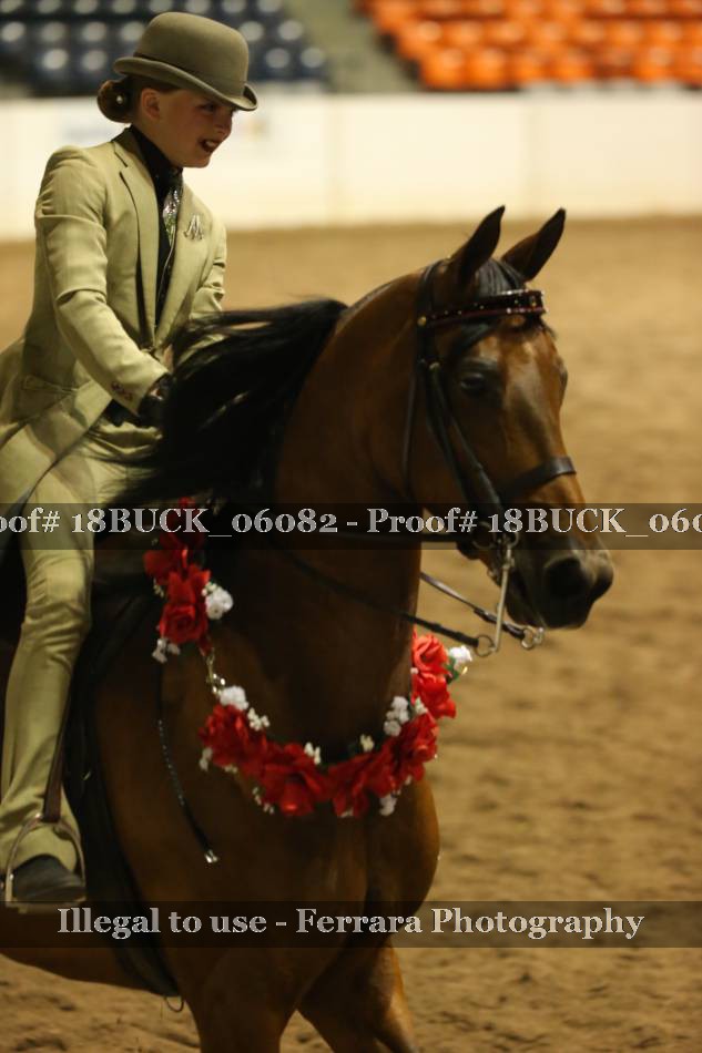 Proof 18BUCK_06082