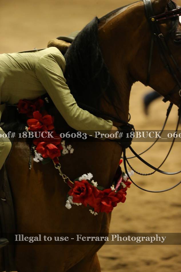 Proof 18BUCK_06083