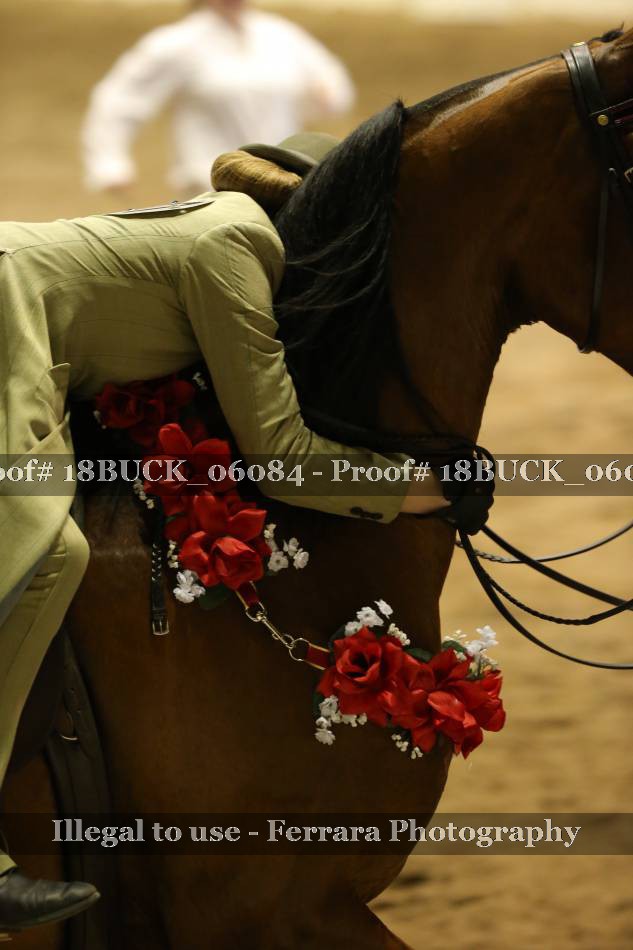 Proof 18BUCK_06084