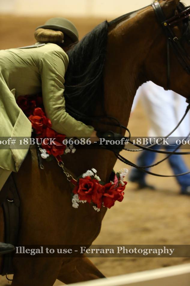 Proof 18BUCK_06086