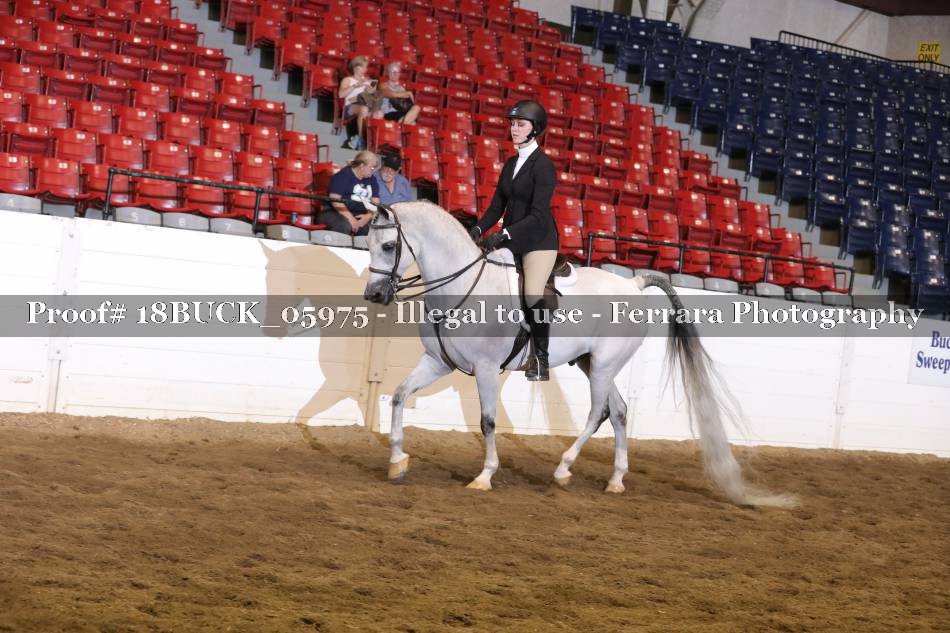 Proof 18BUCK_05975