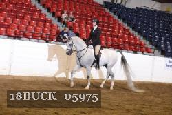 18BUCK_05975 proof