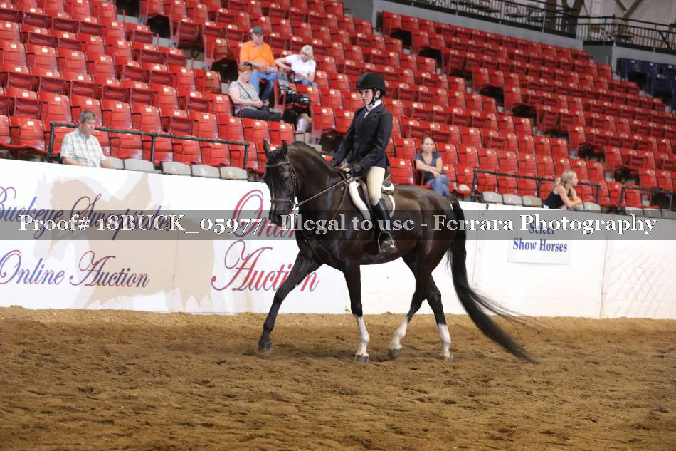 Proof 18BUCK_05977