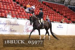 18BUCK_05977 proof