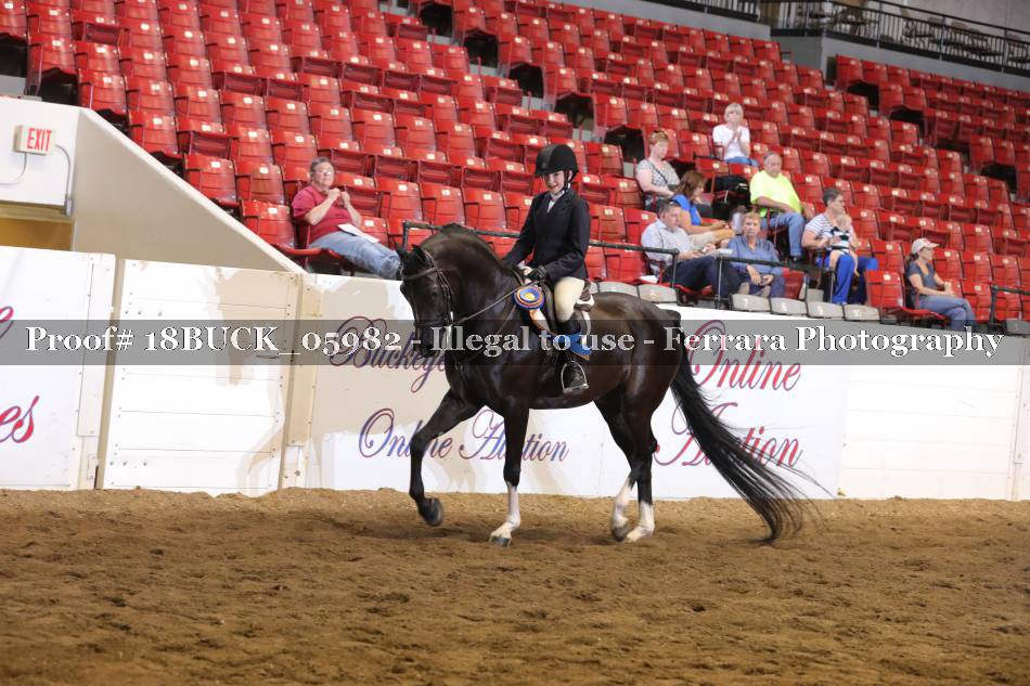 Proof 18BUCK_05982