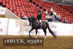 18BUCK_05982 proof