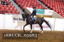 18BUCK_05983 proof