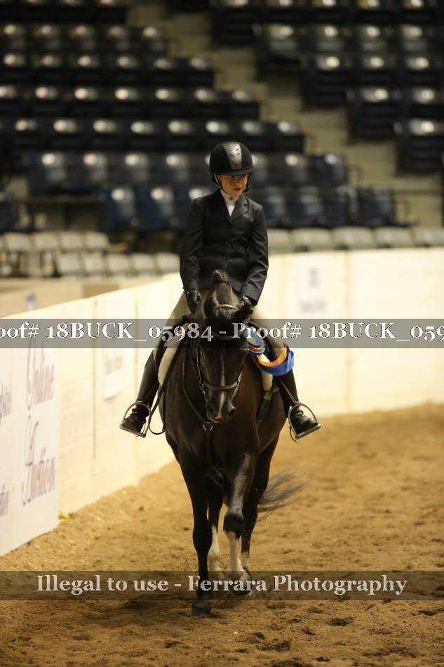 Proof 18BUCK_05984