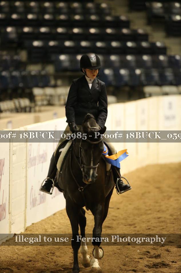 Proof 18BUCK_05985
