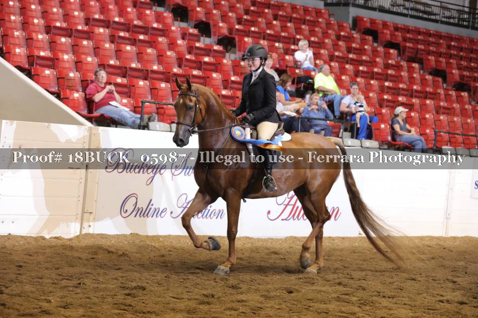 Proof 18BUCK_05987