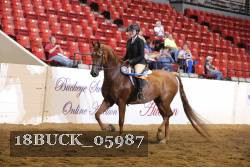 18BUCK_05987 proof