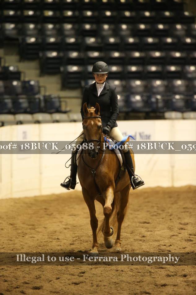 Proof 18BUCK_05988