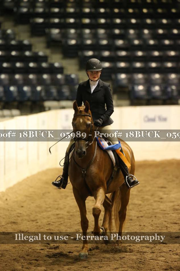 Proof 18BUCK_05989