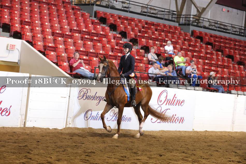 Proof 18BUCK_05994