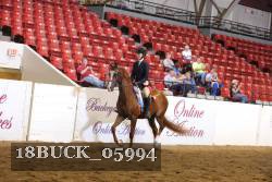 18BUCK_05994 proof