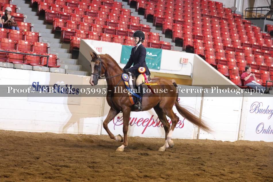 Proof 18BUCK_05995