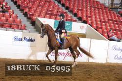 18BUCK_05995 proof