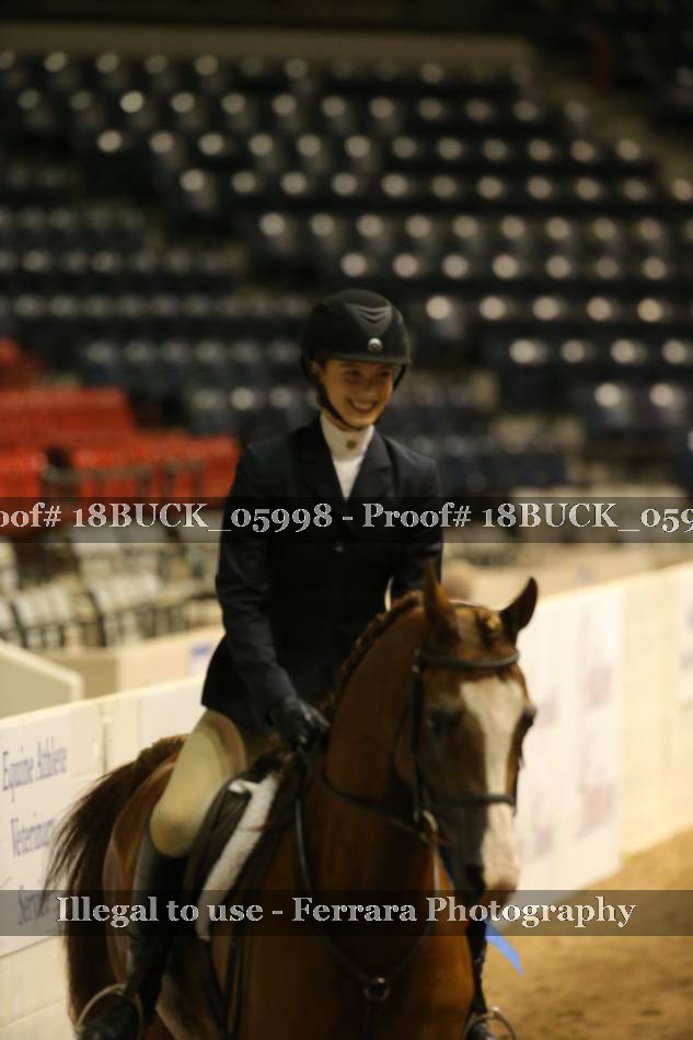 Proof 18BUCK_05998