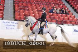 18BUCK_06001 proof