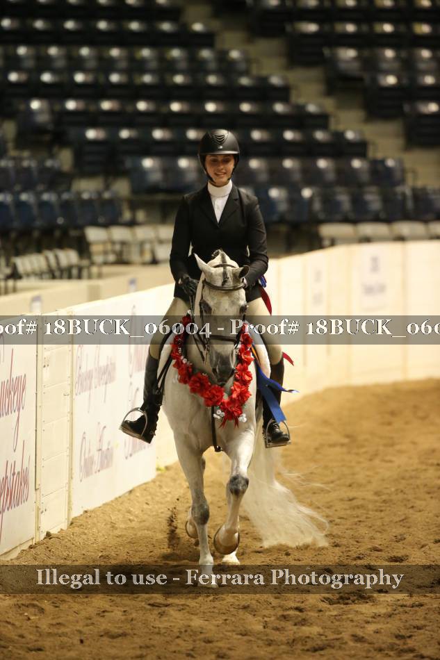 Proof 18BUCK_06004