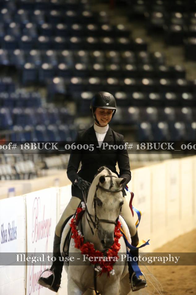 Proof 18BUCK_06005