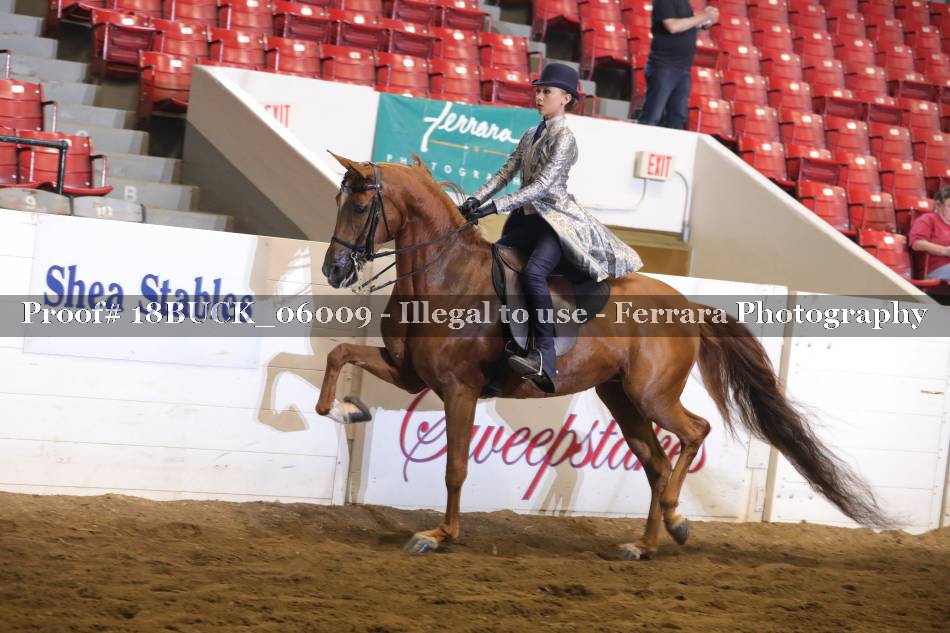 Proof 18BUCK_06009