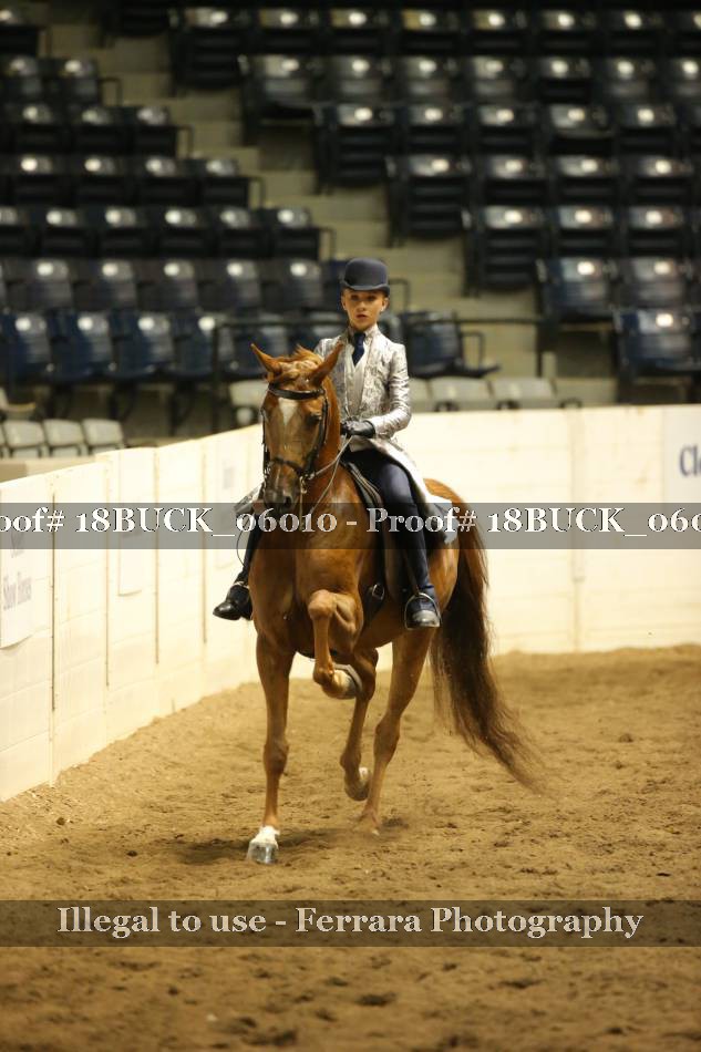 Proof 18BUCK_06010