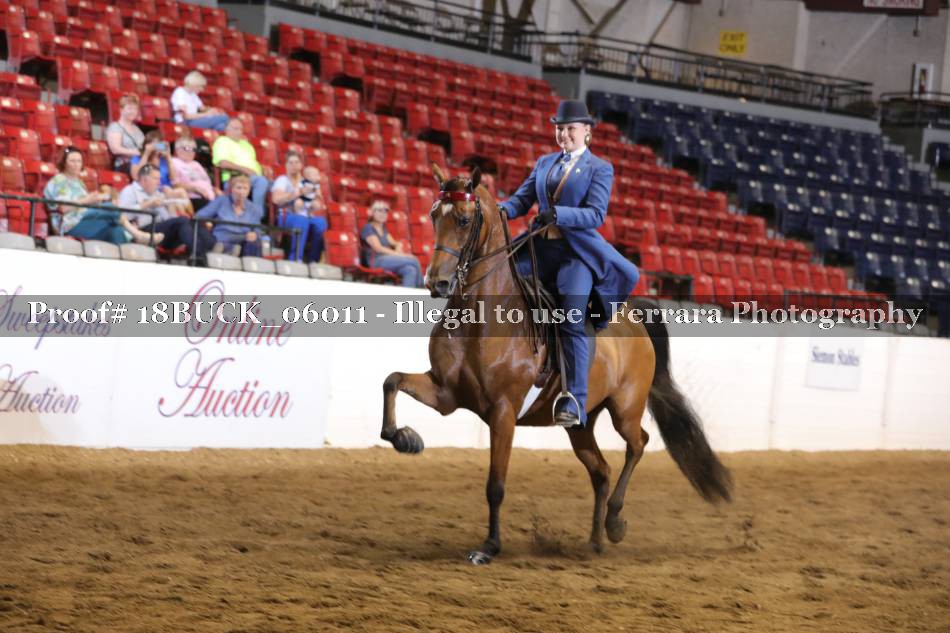 Proof 18BUCK_06011