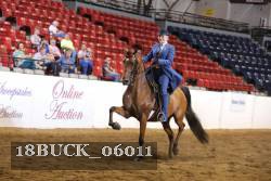 18BUCK_06011 proof