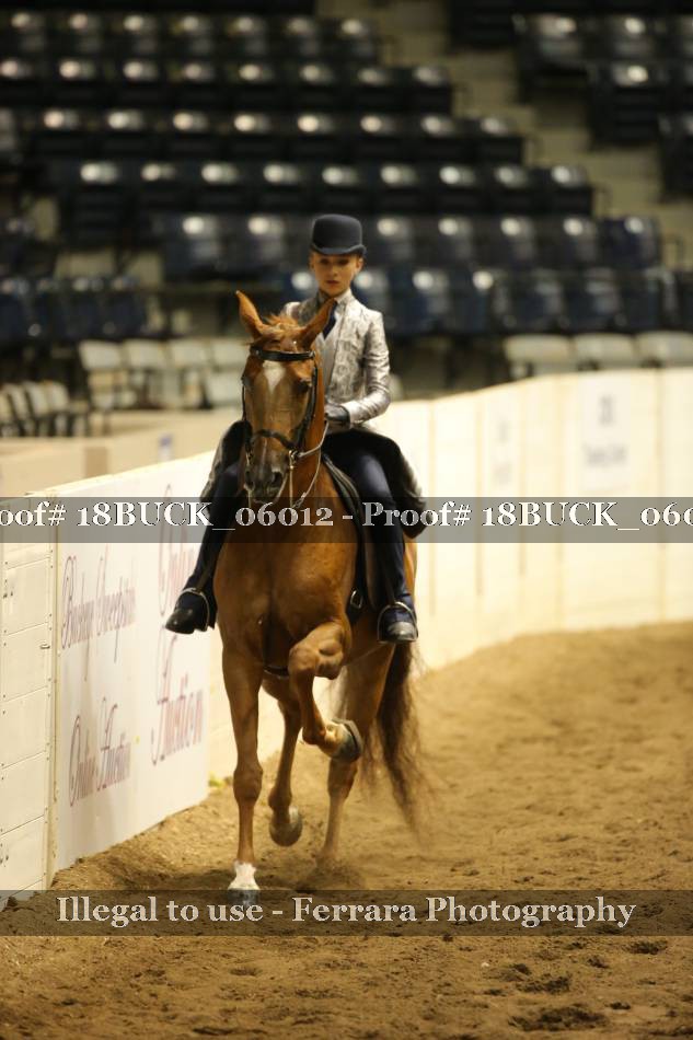 Proof 18BUCK_06012
