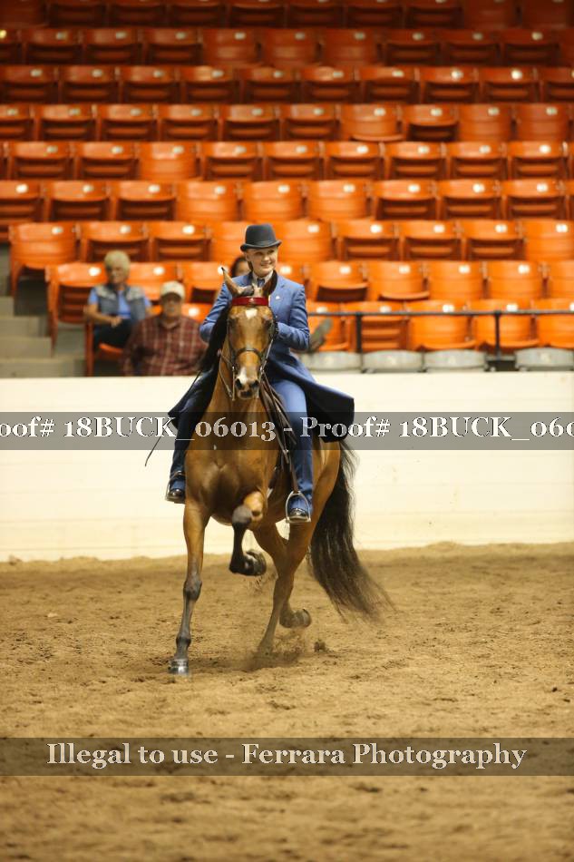 Proof 18BUCK_06013