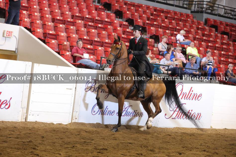 Proof 18BUCK_06014