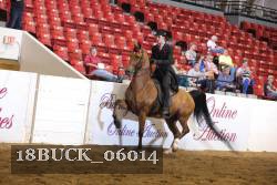18BUCK_06014 proof