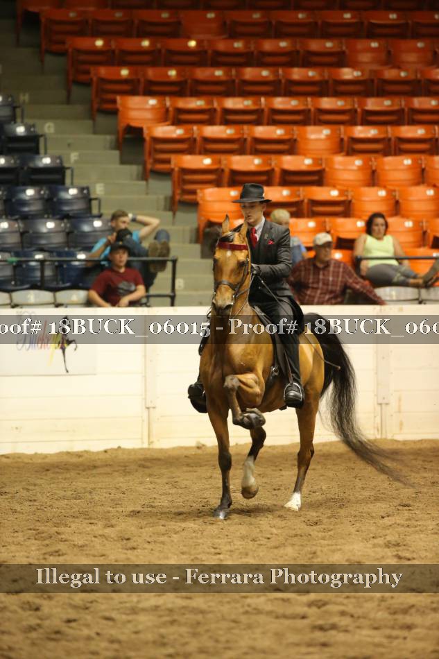 Proof 18BUCK_06015