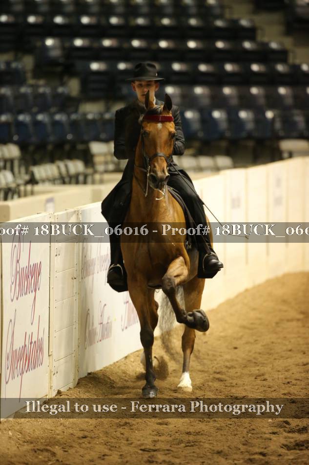 Proof 18BUCK_06016