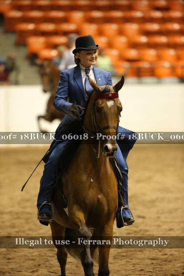 Proof 18BUCK_06018