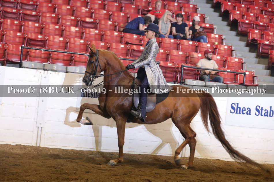 Proof 18BUCK_06019