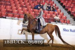 18BUCK_06019 proof