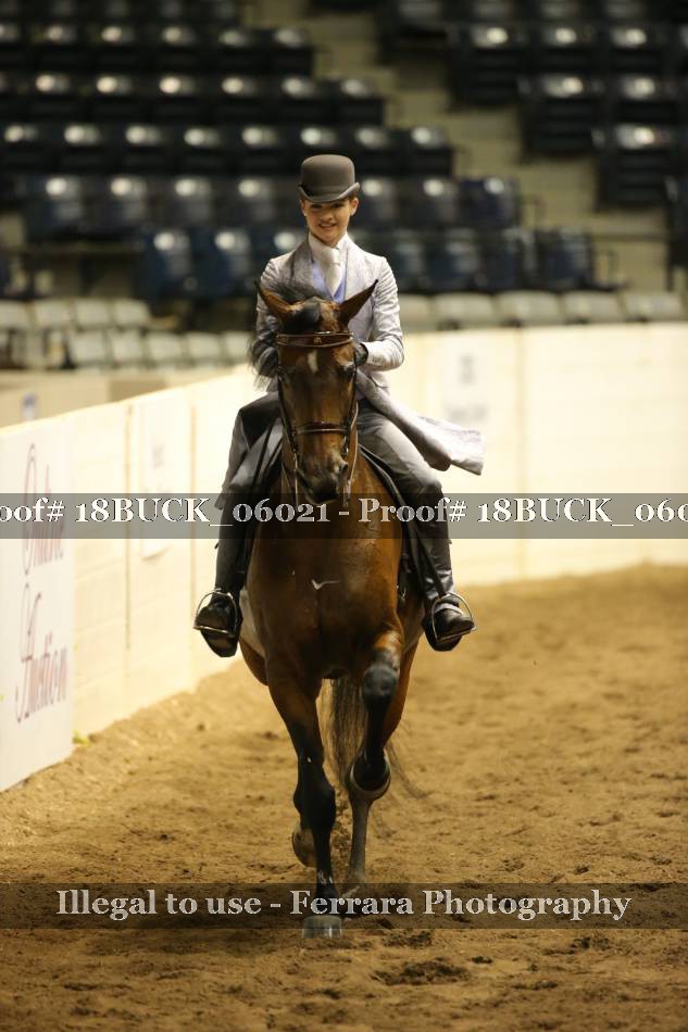 Proof 18BUCK_06021