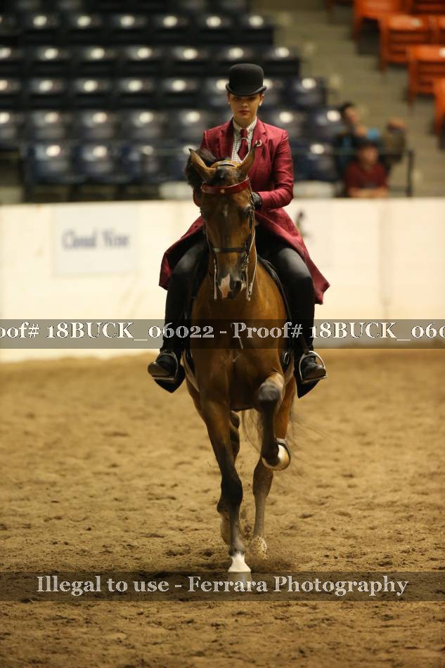 Proof 18BUCK_06022