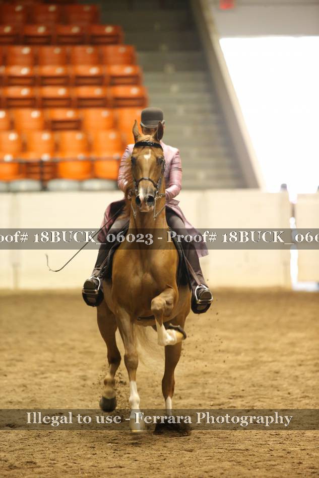 Proof 18BUCK_06023