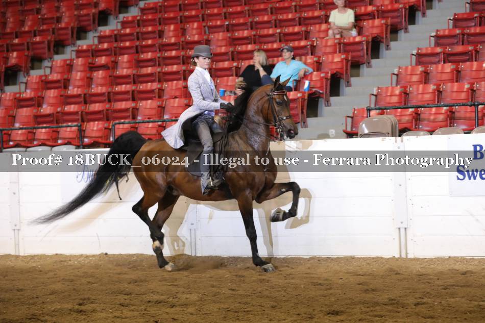 Proof 18BUCK_06024
