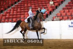 18BUCK_06024 proof