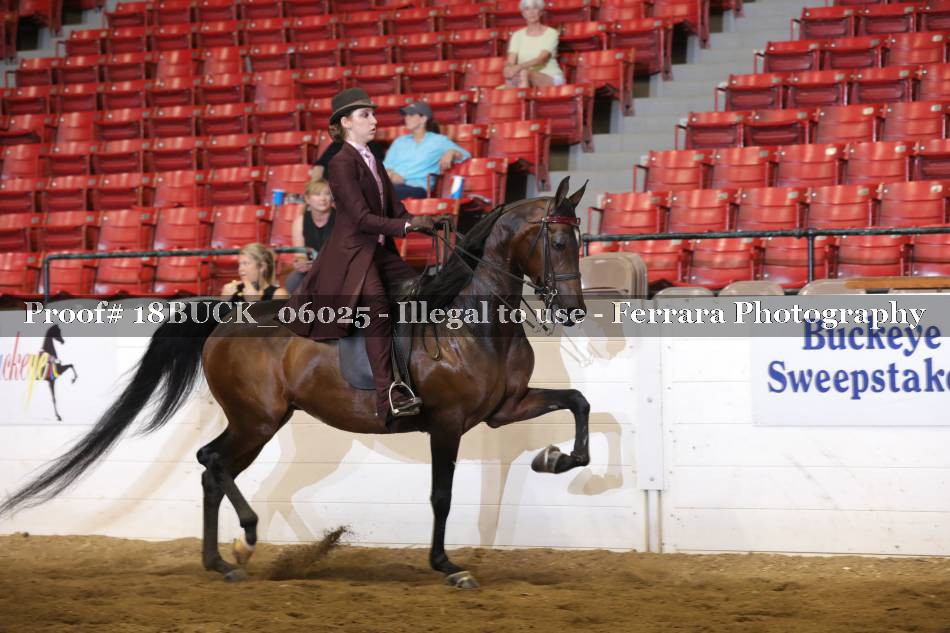 Proof 18BUCK_06025
