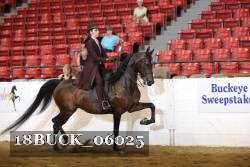 18BUCK_06025 proof