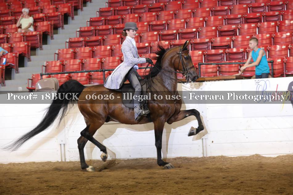 Proof 18BUCK_06026