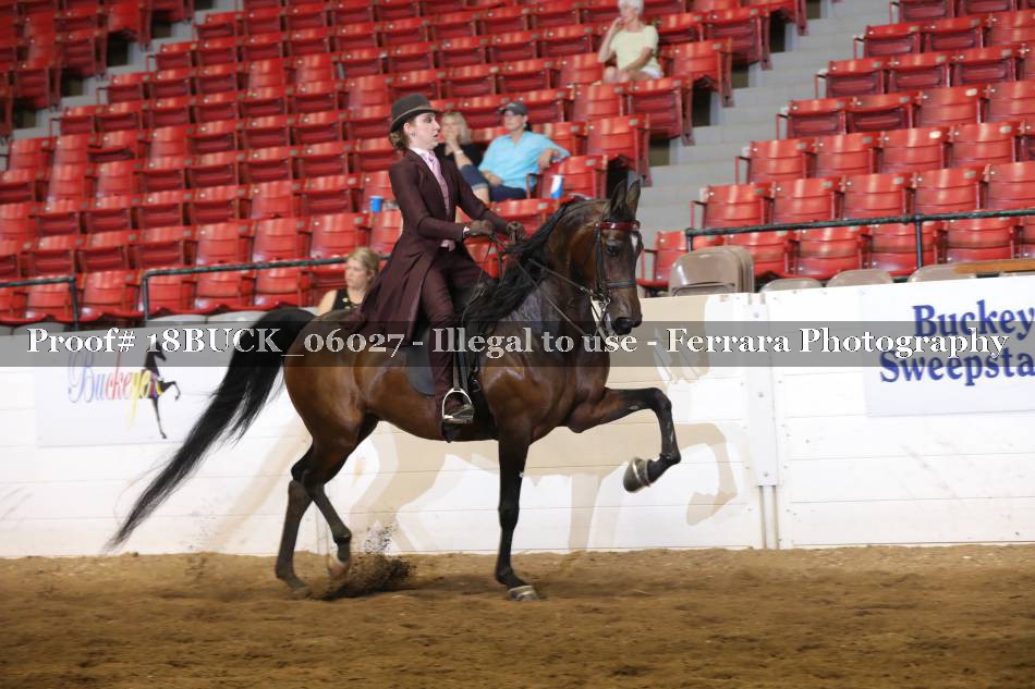 Proof 18BUCK_06027